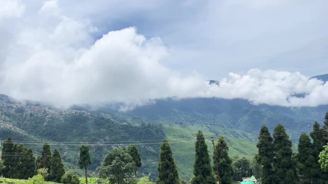 Natural diversity of Darjeeling tea gardens. Due to the high and low land, rainwater does not accumulate at the base of the tea tree, which is ideal for the tree's, Darjeeling tea is world famous.