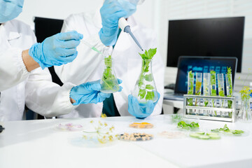 Fototapeta premium Scientists conduct laboratory food testing and biotech research using advanced equipment, ensuring safety, quality, and innovation in modern science environments.