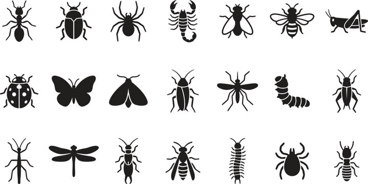 A collection of various insect silhouettes on a white background