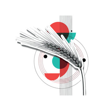 monochrome barley spikelet with detailed grain clusters on a slender stem, white contour cut-out outline around the plant, layered geometric circles and