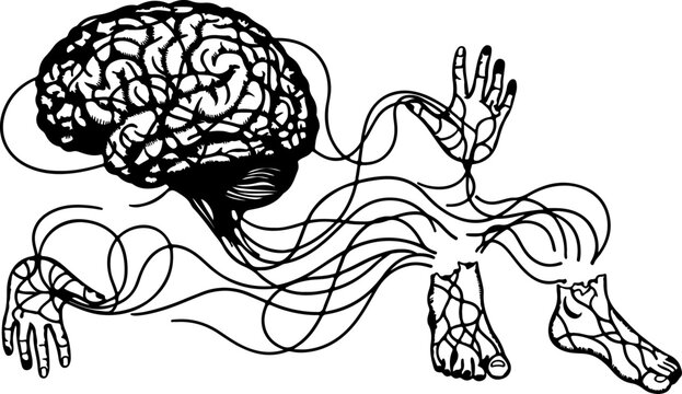 Abstract black and white vector illustration of a human brain connected to body parts by nerves