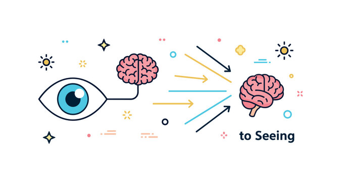 Human vision system overview a stylized eye connected to a small brain icon while light rays and arrows illustrate the full pathway of seeing from light to