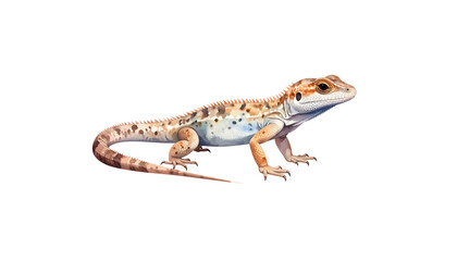Fototapeta premium A close-up image of a tropical green iguana with fine scales against a white background.