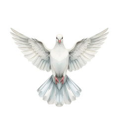 Obraz premium Dove with outstretched wings spreading peace and serenity on a white background