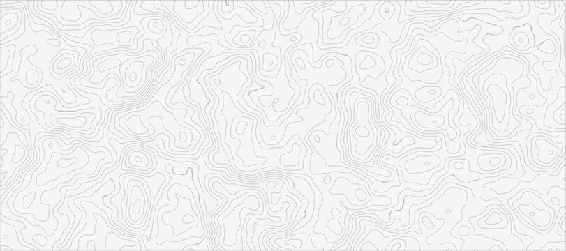 modern white and grey smooth wave line Topographic Contour Map Pattern Background With Abstract Elevation Lines and Seamless Terrain Texture.