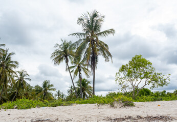 Beautiful beach sunset with golden sky reflecting over calm ocean waves, creating a peaceful tropical landscape.
