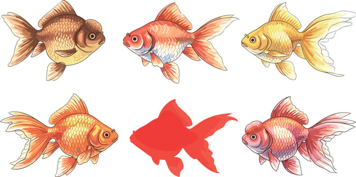 Goldfish Illustration Set with Various Breeds and Styles, Hand Drawn Aquarium Fish Collection Isolated on White Background for Decorative Aquatic Design