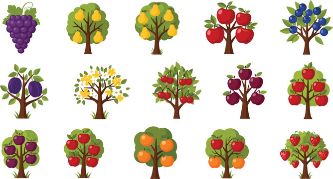 Fruit trees collection with apple pear orange plum cherry and berry trees orchard vector illustration set