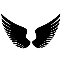 Fototapeta premium Angel Wing Graphic Illustration