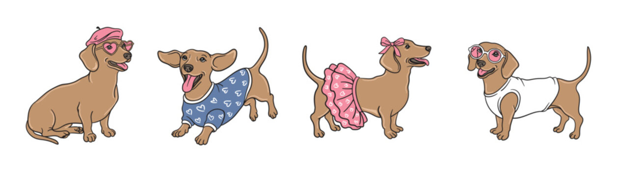 Cute dachshund dogs in Valentine's Day outfits set. Cartoon wiener dogs wearing pink beret, heart glasses, blue sweater with hearts, tutu skirt, and bow. Flat vector illustration