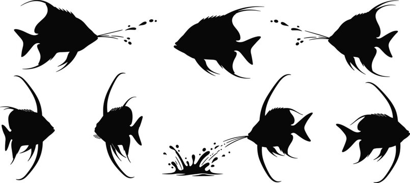 Archerfish silhouette set. Tropical aquarium vector collection with water shooting action and splash effects. Freshwater fish silhouettes isolated for wildlife, design, and creative projects.