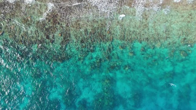 Aerial drone shot moving from rough sea towards green salt lake surrounded by mangroves and cliffs in Curacao
