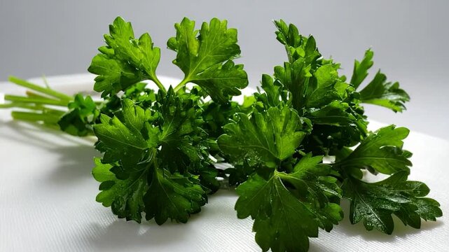 Fresh green parsley sprigs on a white surface, with delicate leaves and stems