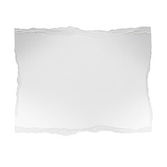 Fototapeta premium Rectangular Torn Paper Scrap isolated on transparent background