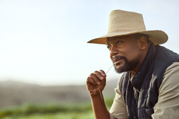 Naklejka premium Man, farmer and thinking with grain for agriculture, horticulture and harvest for growth. Farm, reflection and mature black person with agro, sustainability or chew plant for vision on mockup space