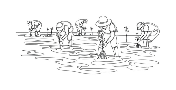 Coastal Mangrove Planting. Minimalistic one-line drawing individuals planting saplings in tidal mudflats, continuous single black line on white background,