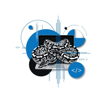 Black and white realistic python snake coiled around a laptop, overlaid with bold blue geometric circles and thin vertical lines suggesting structure and