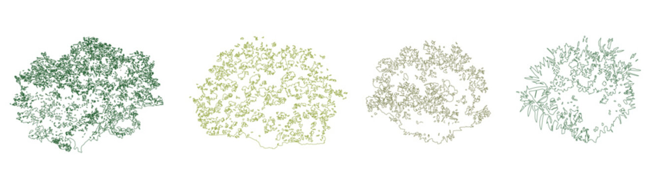 Vector set of colorful shrubs and bushes in elevation view for use in architectural drawings 