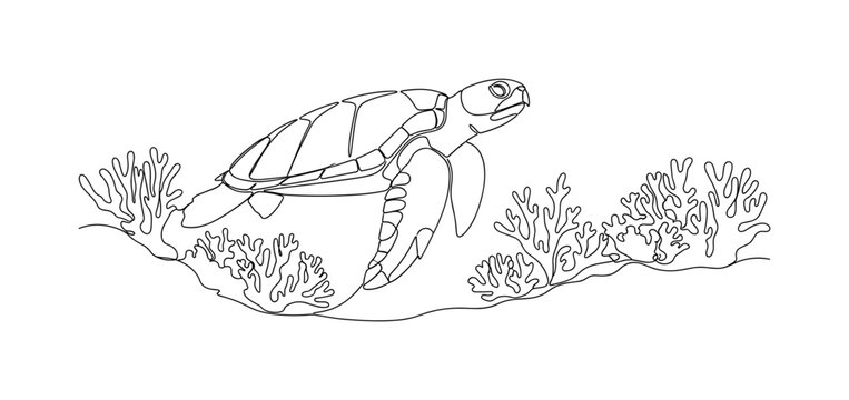 Sea Turtle Near Ocean Floor. Minimalistic one-line drawing turtle gliding above sandy seabed with soft curves, continuous single black line on white