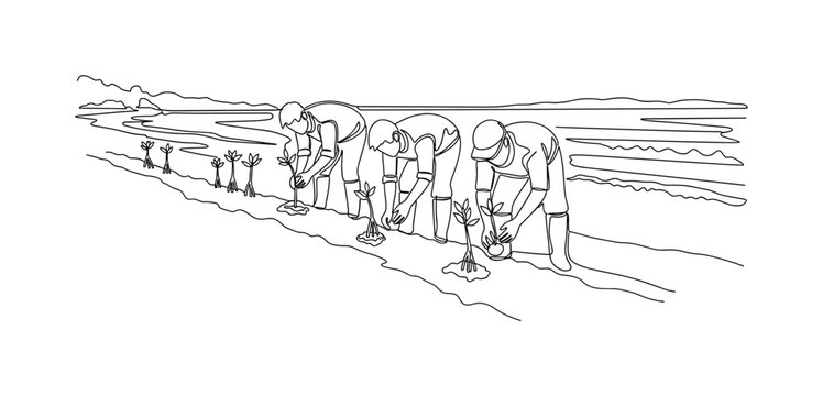 Eco Restoration Project. Minimalistic one-line drawing small group planting mangrove seedlings along a coastal area, continuous single black line on white
