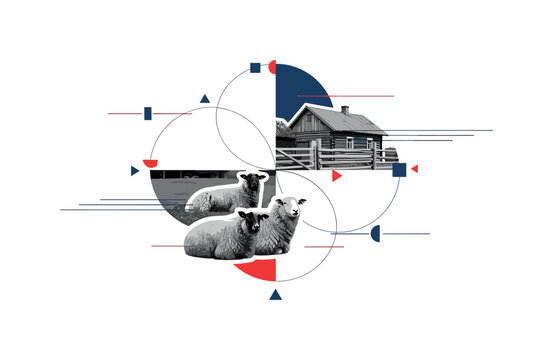 retro collage of sheep resting near a rustic rural home and wooden fence, monochrome realistic animals and house with white cut-out outline, intersecting