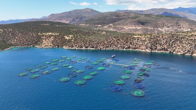 Aerial drone cinematic video of aquaculture fish farm cages producing sea breem and sea bass in deep blue Mediterranean sea