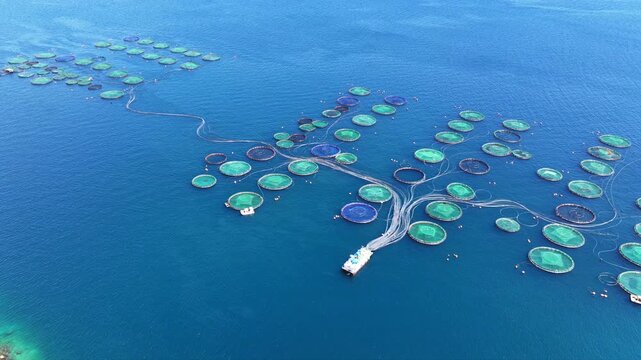 Aerial drone cinematic video of aquaculture fish farm cages producing sea breem and sea bass in deep blue Mediterranean sea