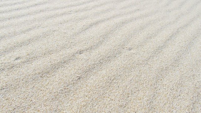 Texture de sable blanc fin avec des ondulations naturelles cr&eacute;&eacute;es par le vent.