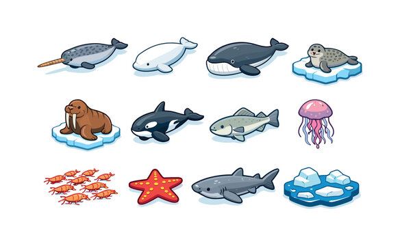 Marine life of the Arctic. Colorful isometric vector icons set of Marine life of the Arctic: narwhal with tusk, beluga whale, bowhead whale, ringed seal on