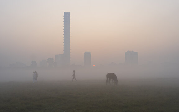 View of a foggy morning unveils silhouettes of a person, horse, and distant skyscrapers, where the sun barely peaks, Kolkata, West Bengal, India.