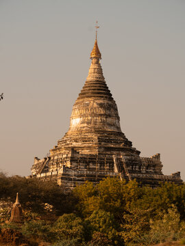 View of the Shwesandaw Pagoda, a gleaming white temple rising majestically above the lush green canopy in the ancient city, Old Bagan, Mandalay Region, Myanmar Burma.