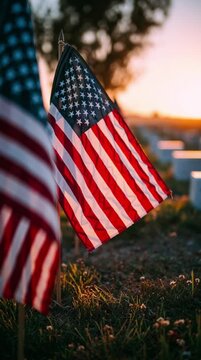 American flags waving at sunset near gravestones in a cemetery, vertical video