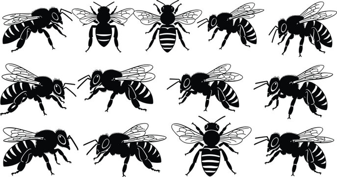 Bee silhouette illustration with multiple insects, detailed wings, colony behavior artwork, biodiversity design concept, entomology study inspiration, environmental awareness artwork