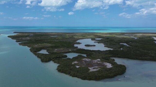 Aerial panorama of the vast mangrove estuaries and turquoise coast in Rio Lagartos, Mexico