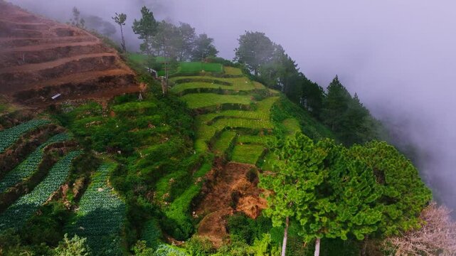 Drone flying above green mountain terraces as sun breaks through clouds