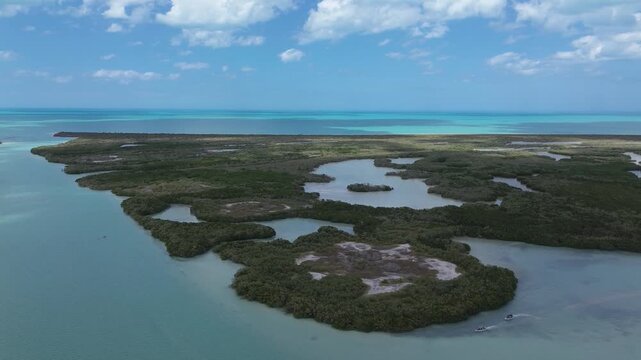 Cinematic flyover of Rio Lagartos biosphere reserve and turquoise sea, Mexico