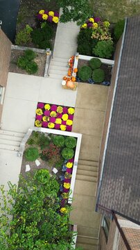 An aerial top-down view of a building entrance decorated for autumn with vibrant purple and yellow mums, assorted pumpkins, and hay bales.