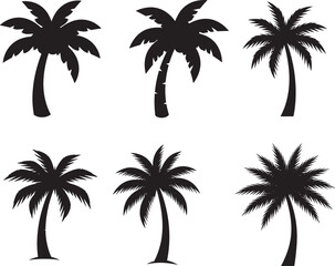 Fototapeta premium Collection of six black palm tree silhouettes 