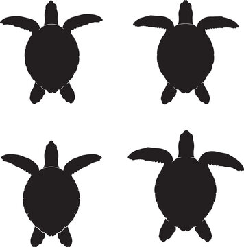 Four black turtle silhouettes on a white background