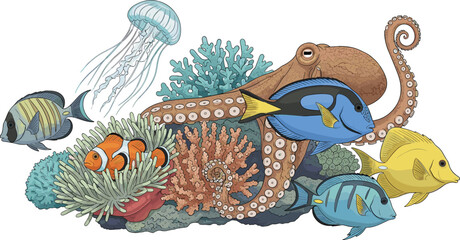 Colorful coral reef vector illustration with tropical fish octopus jellyfish and sea plants detailed underwater marine life composition design © Jahangir