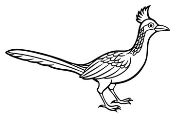 Obraz premium roadrunner bird silhouette line art vector illustration with a white background
