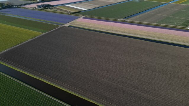 Aerial view of vibrant fields create a colorful patchwork, with contrasting shades of green, purple, and brown stretching far, Lisse, Zuid-Holland, Netherlands.