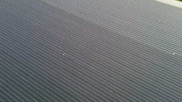 Aerial view of a vast expanse of corrugated metal reflecting the soft daylight, creating a rhythmic pattern of light and shadow, Lisse, Zuid-Holland, Netherlands.