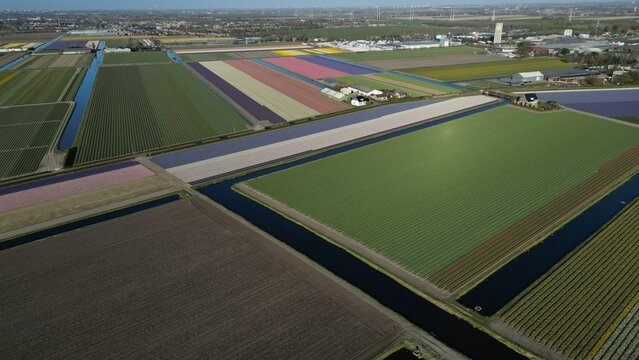 Aerial view of vibrant flower fields stretching across the landscape, a tapestry of colors divided by dark canals, Lisse, Zuid-Holland, Netherlands.