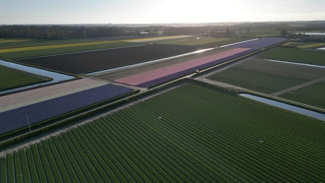 Aerial view of vibrant fields of tulips create a colorful patchwork across the landscape, contrasting with the serene waterways, Lisse, Netherlands.