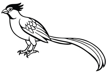 Fototapeta premium roadrunner bird silhouette line art vector illustration with a white background