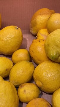 Close up fresh yellow lemons piled in cardboard box, glossy waxy skins, warm market lighting, tight texture detail, ripe citrus ready