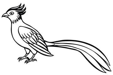 Obraz premium roadrunner bird silhouette line art vector illustration with a white background