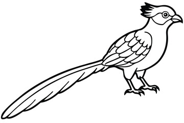 Fototapeta premium roadrunner bird silhouette line art vector illustration with a white background
