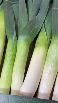 Rows of fresh leeks on display, long green stalks and white bases, crisp texture highlighted for soup and stock, market